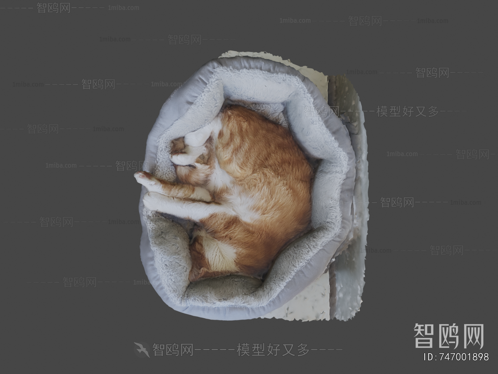 Modern Animal Cat