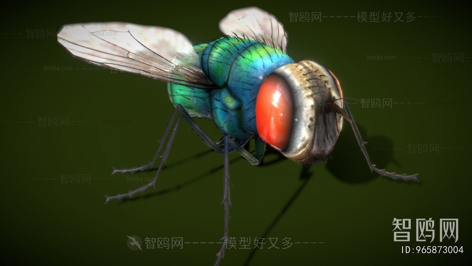 Modern Animal