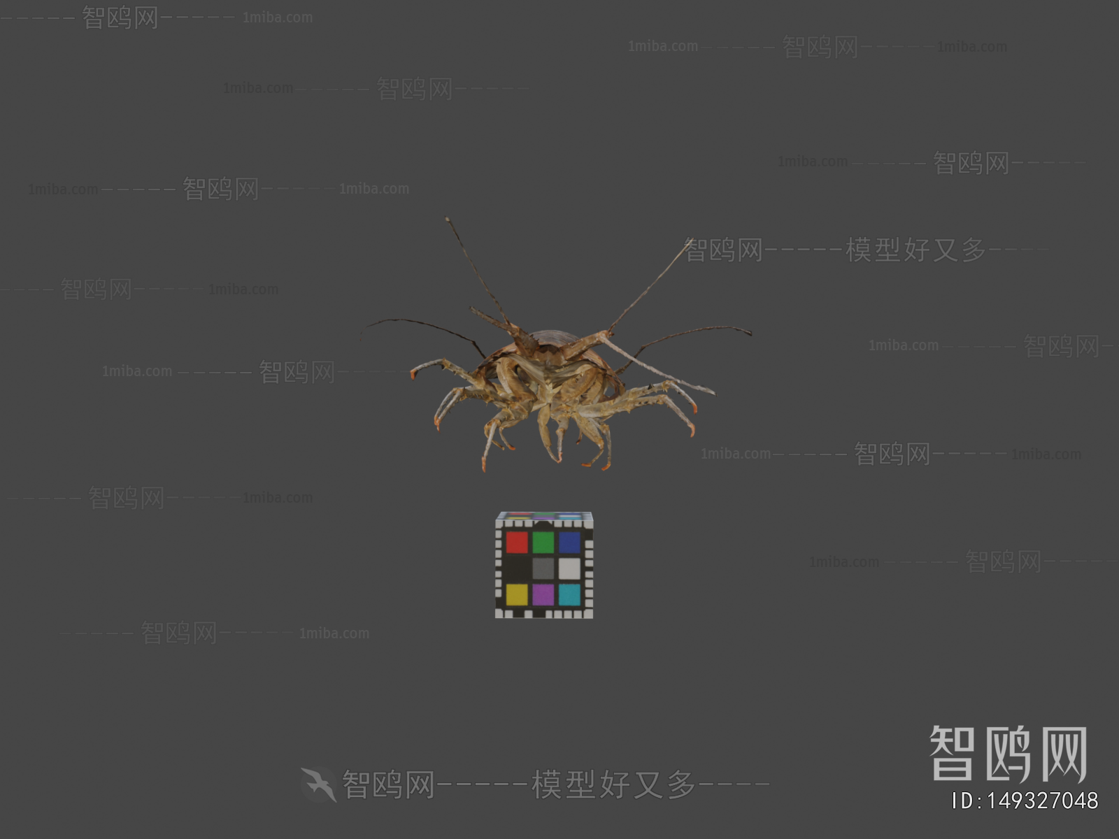 Modern Animal
