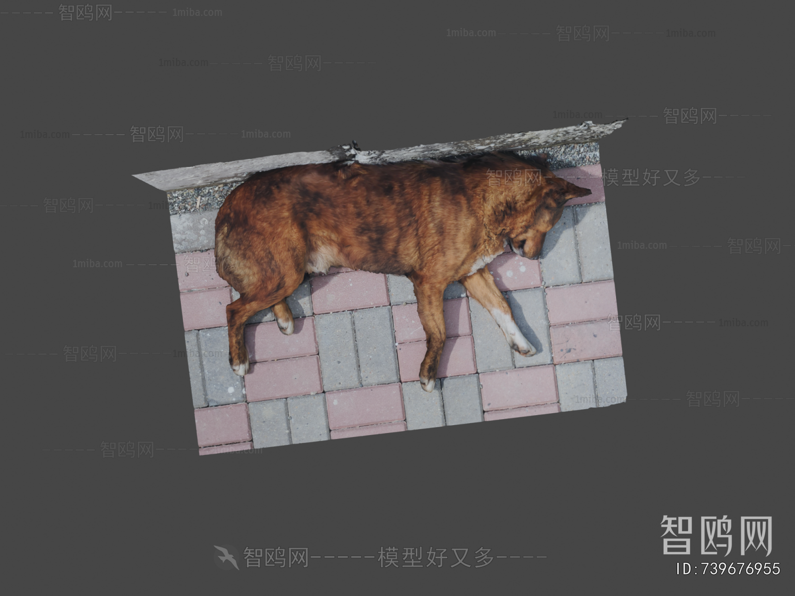 Modern Animal Dog