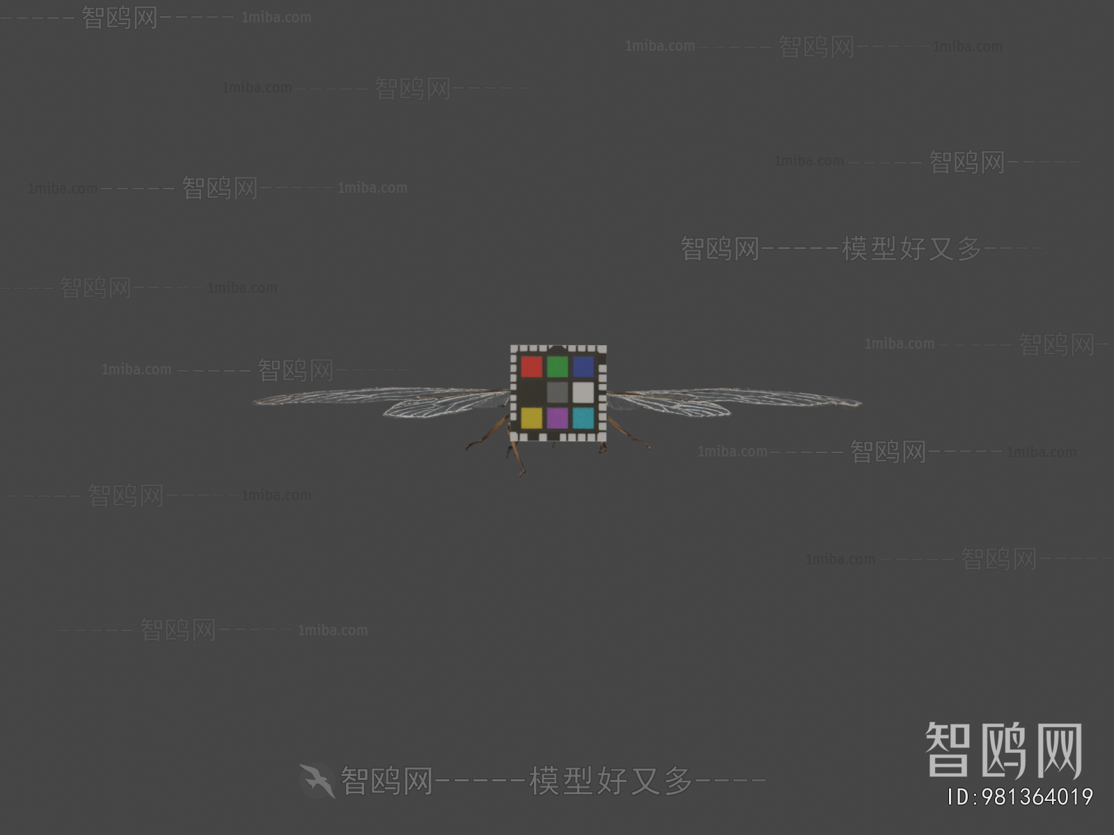 Modern Flying Animals