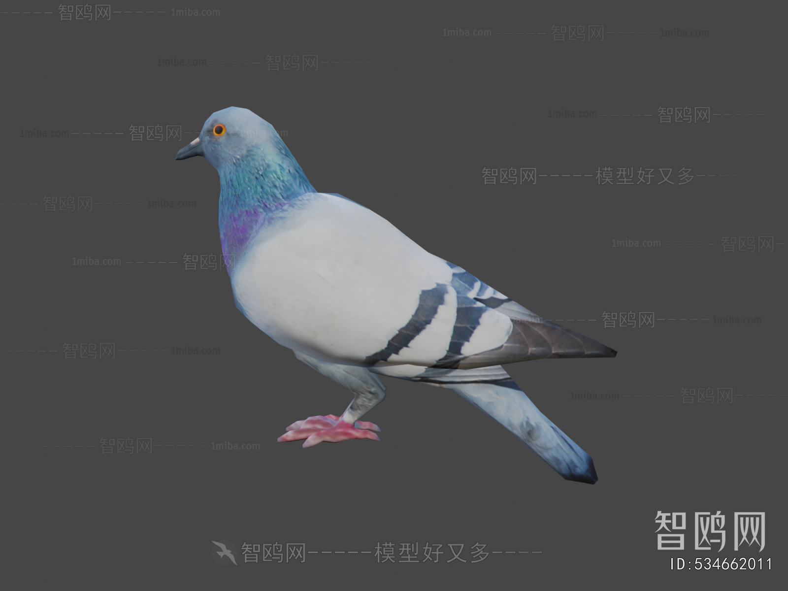 Modern Animal