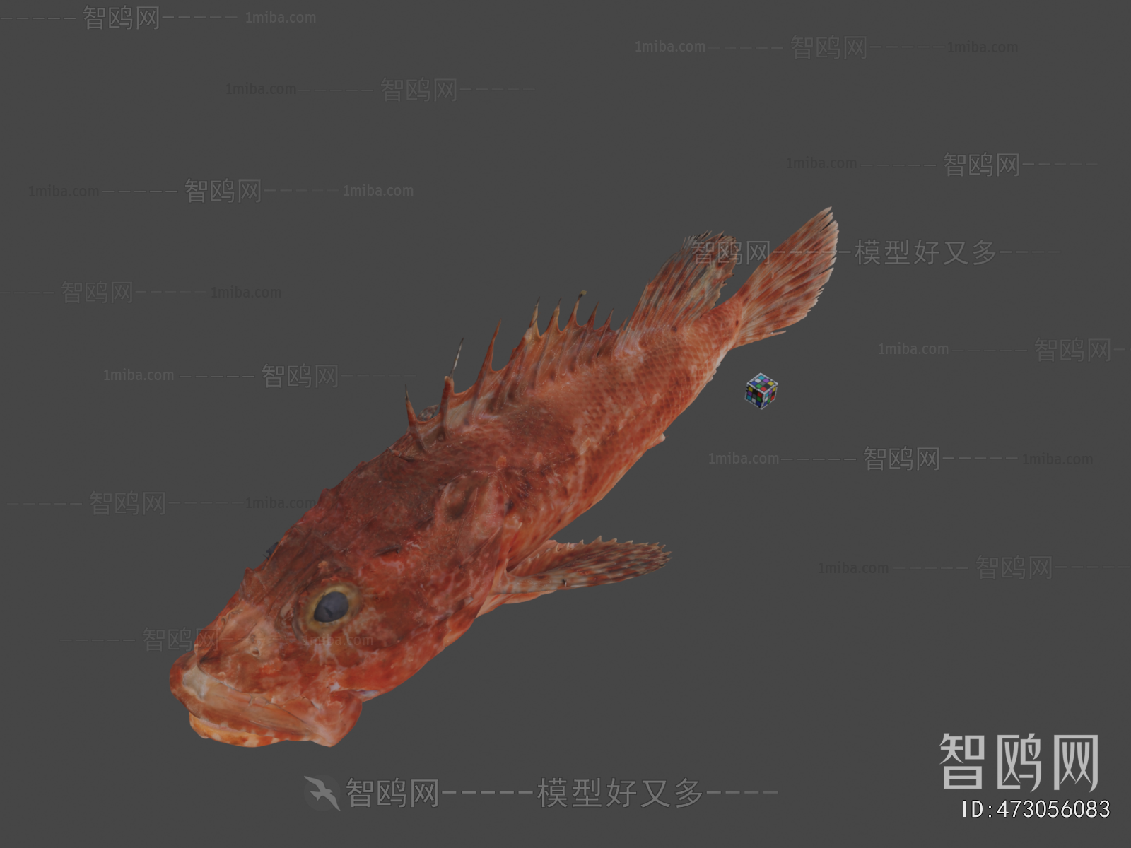 Modern Aquatic Animals