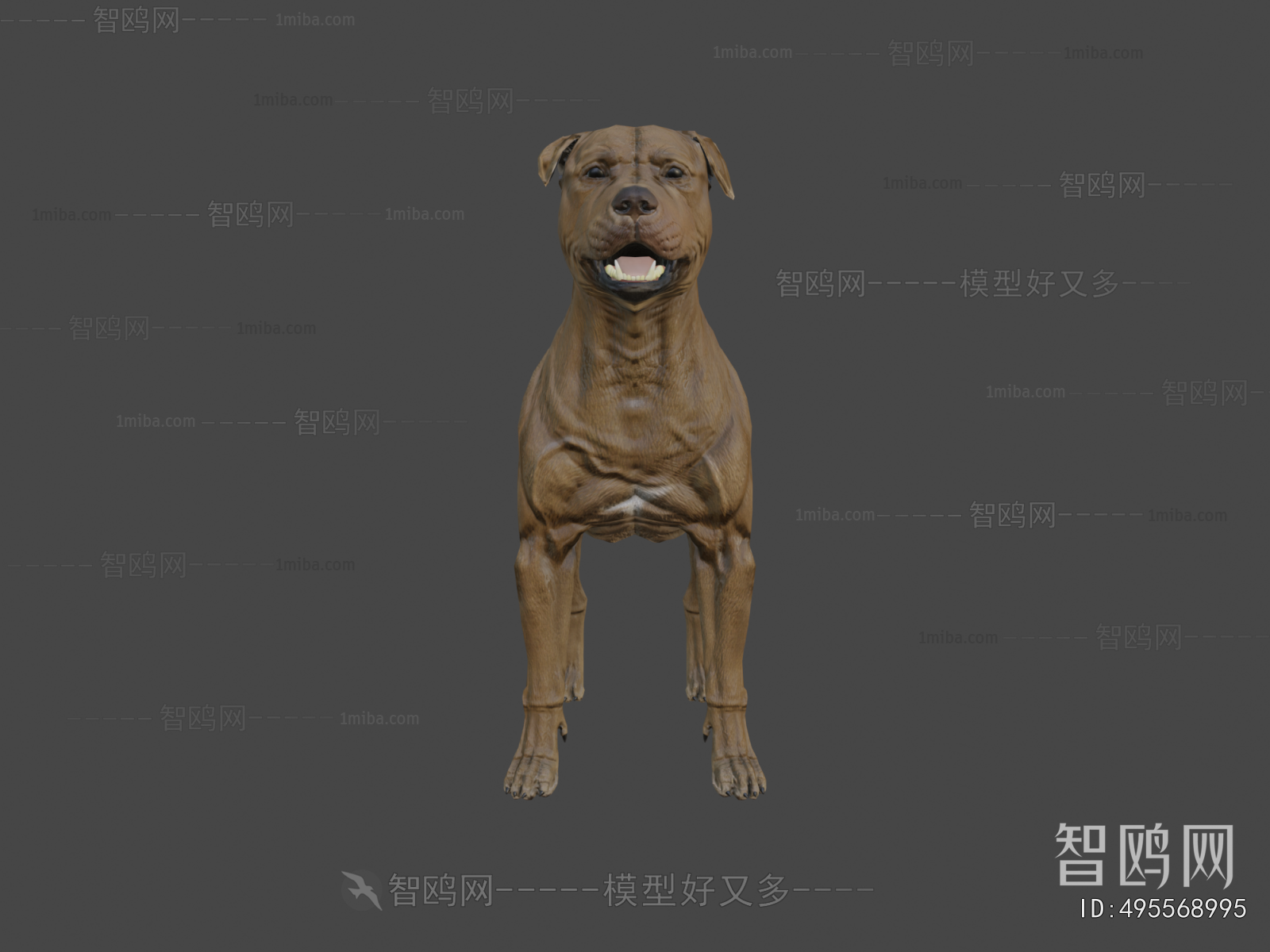 Modern Animal Dog
