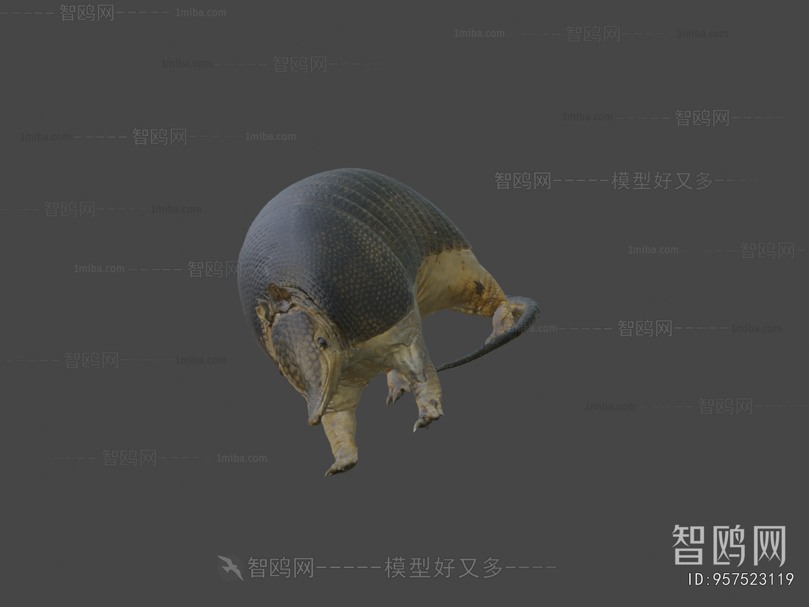 Modern Mammal