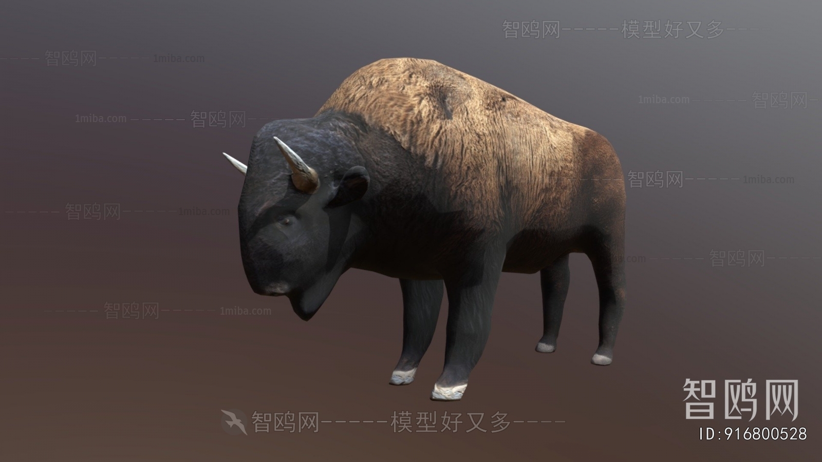 Modern Animal