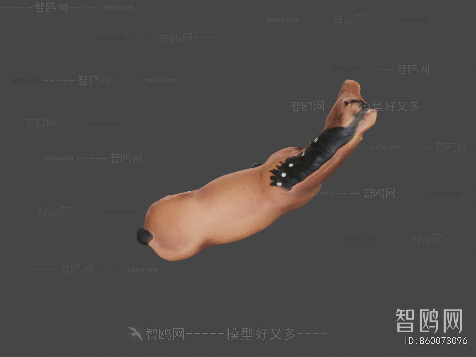 Modern Animal Horse