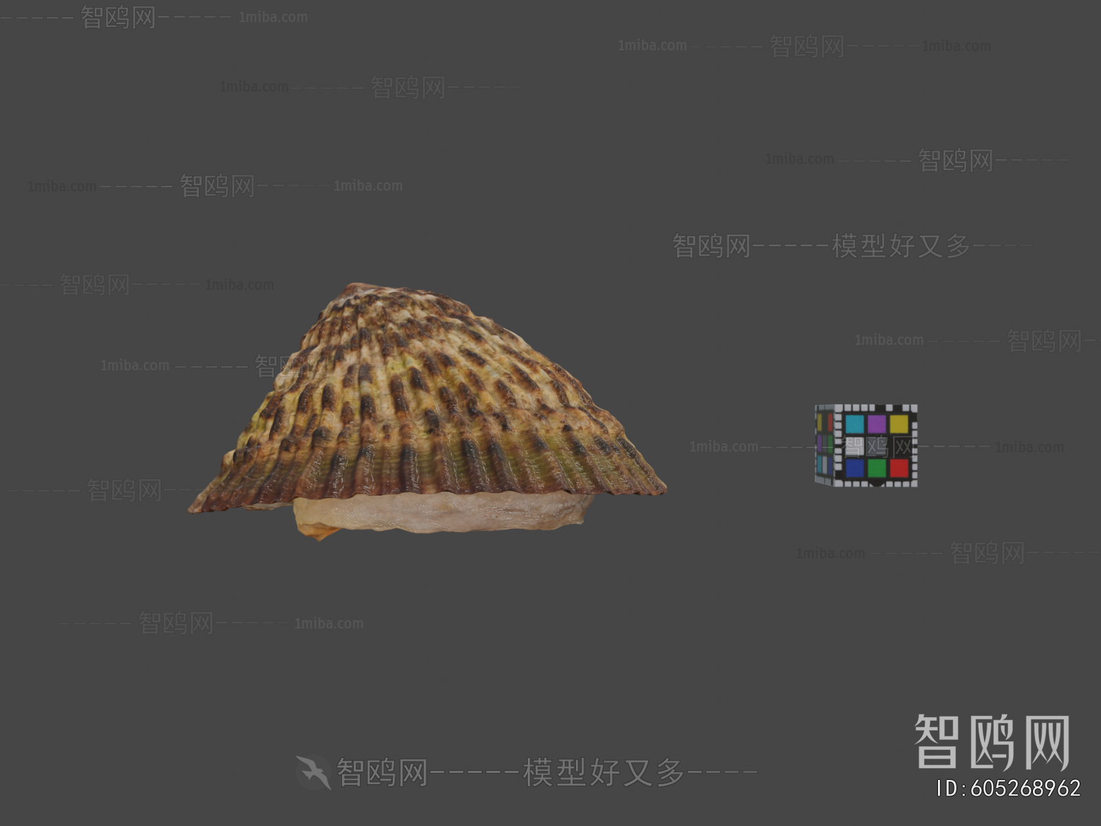 Modern Animal