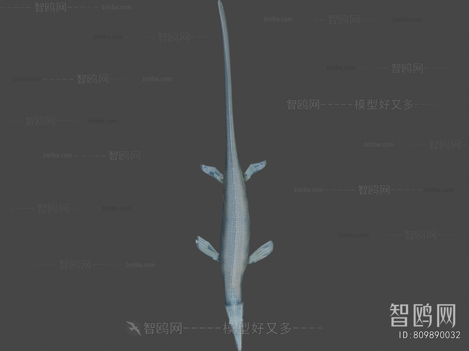 Modern Animal