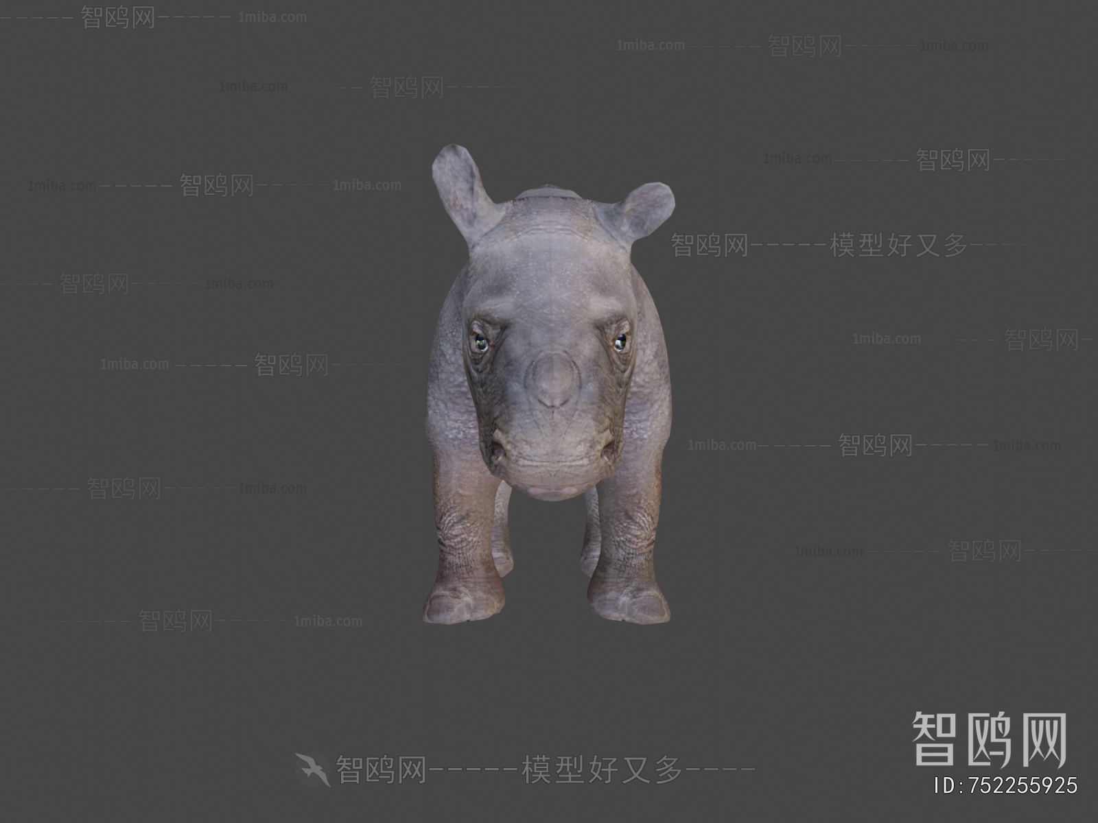 Modern Animal