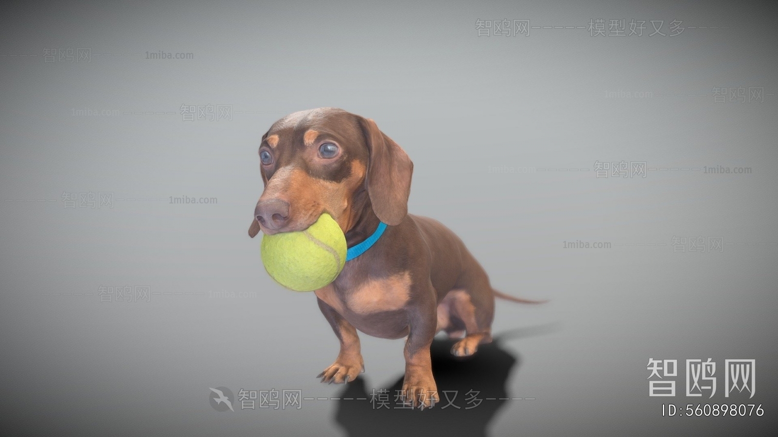 Modern Animal Dog