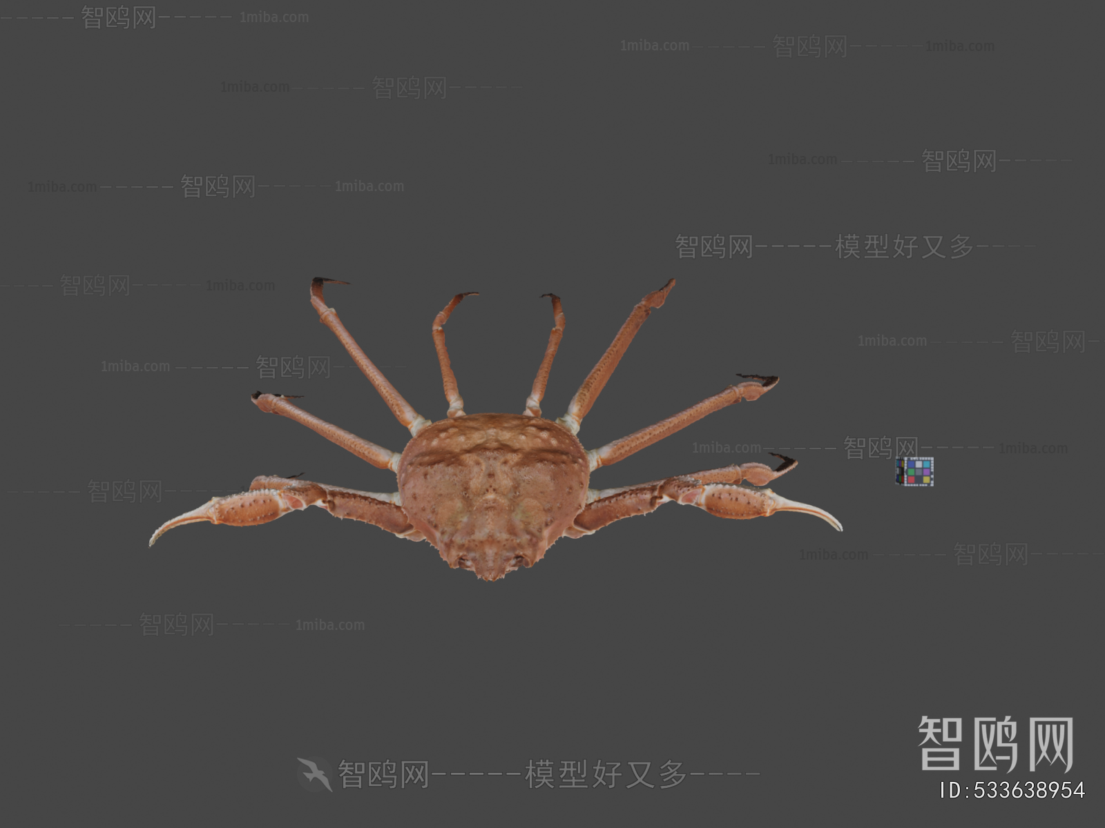Modern Aquatic Animals