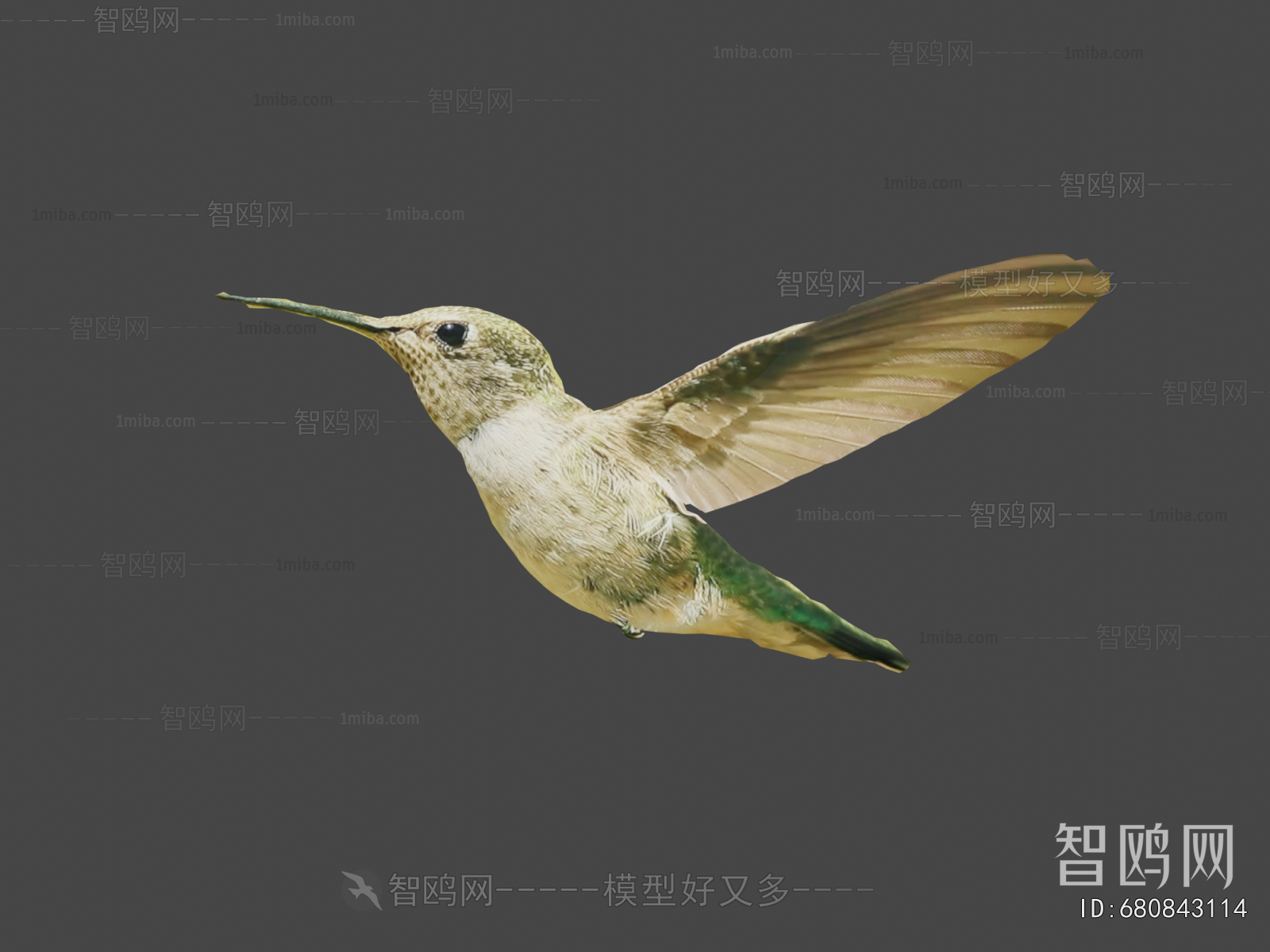 Modern Animal