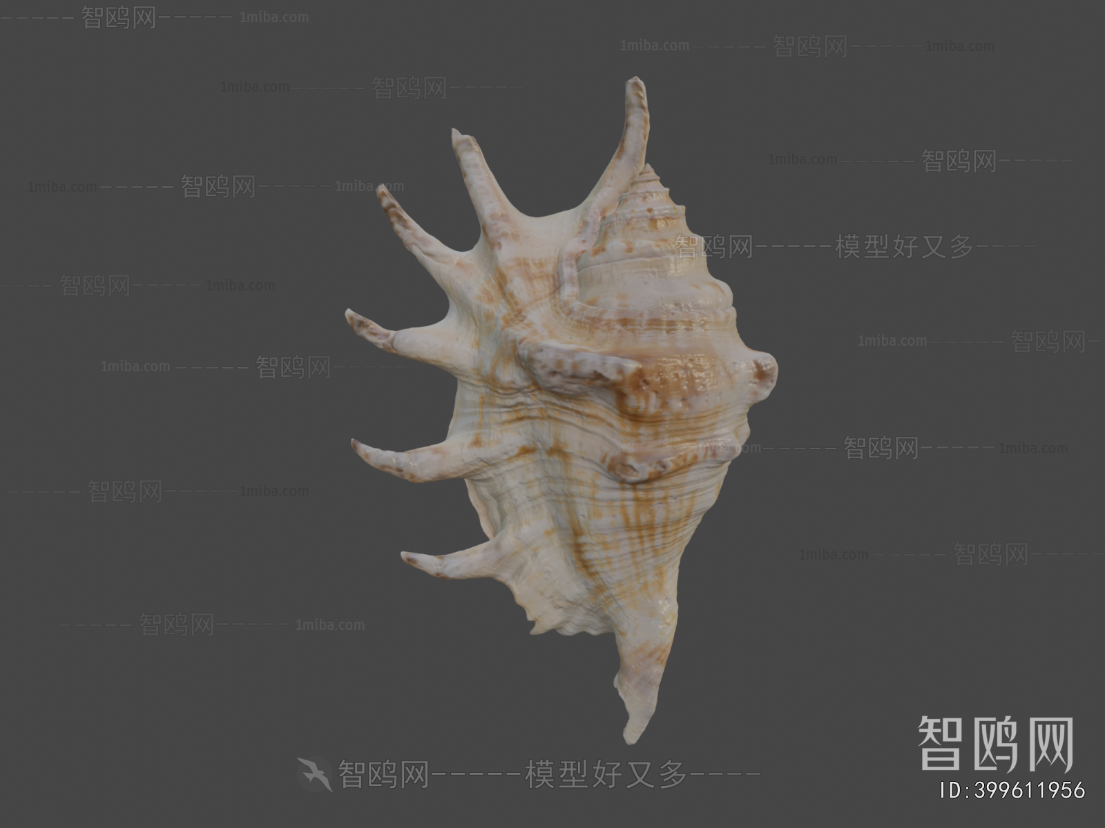 Modern Aquatic Animals