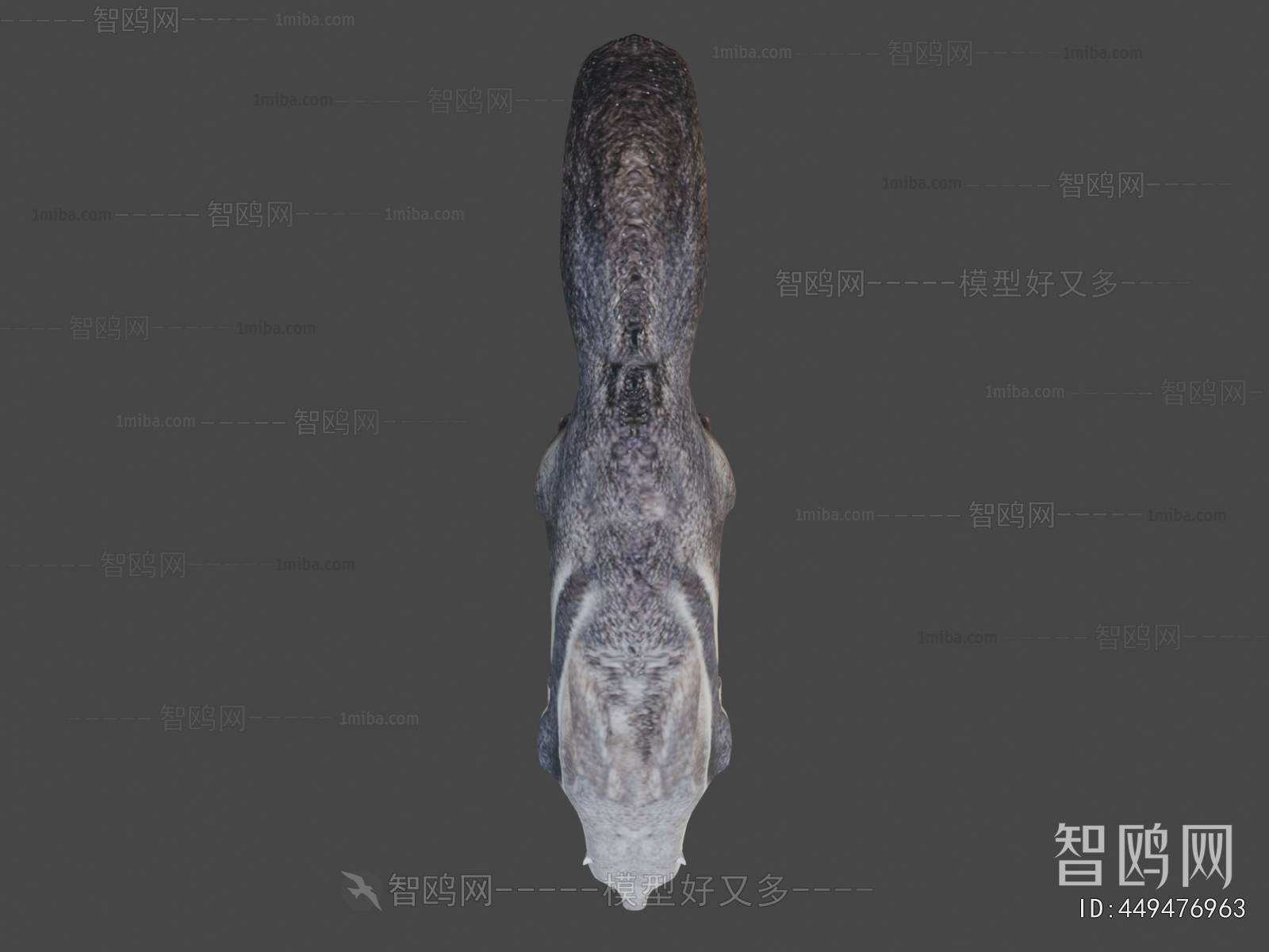 Modern Animal