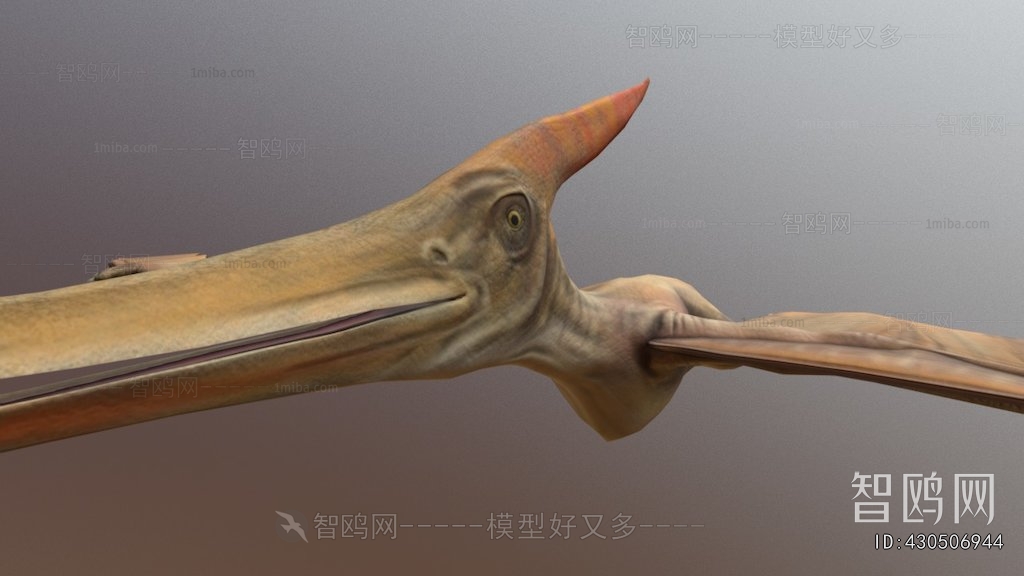 Modern Animal