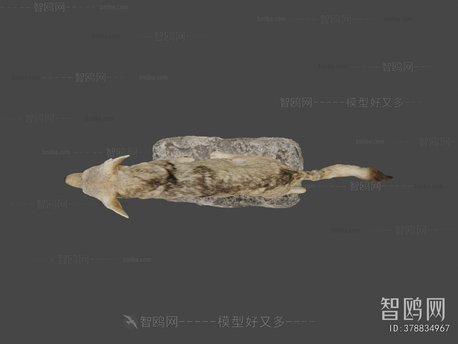Modern Mammal