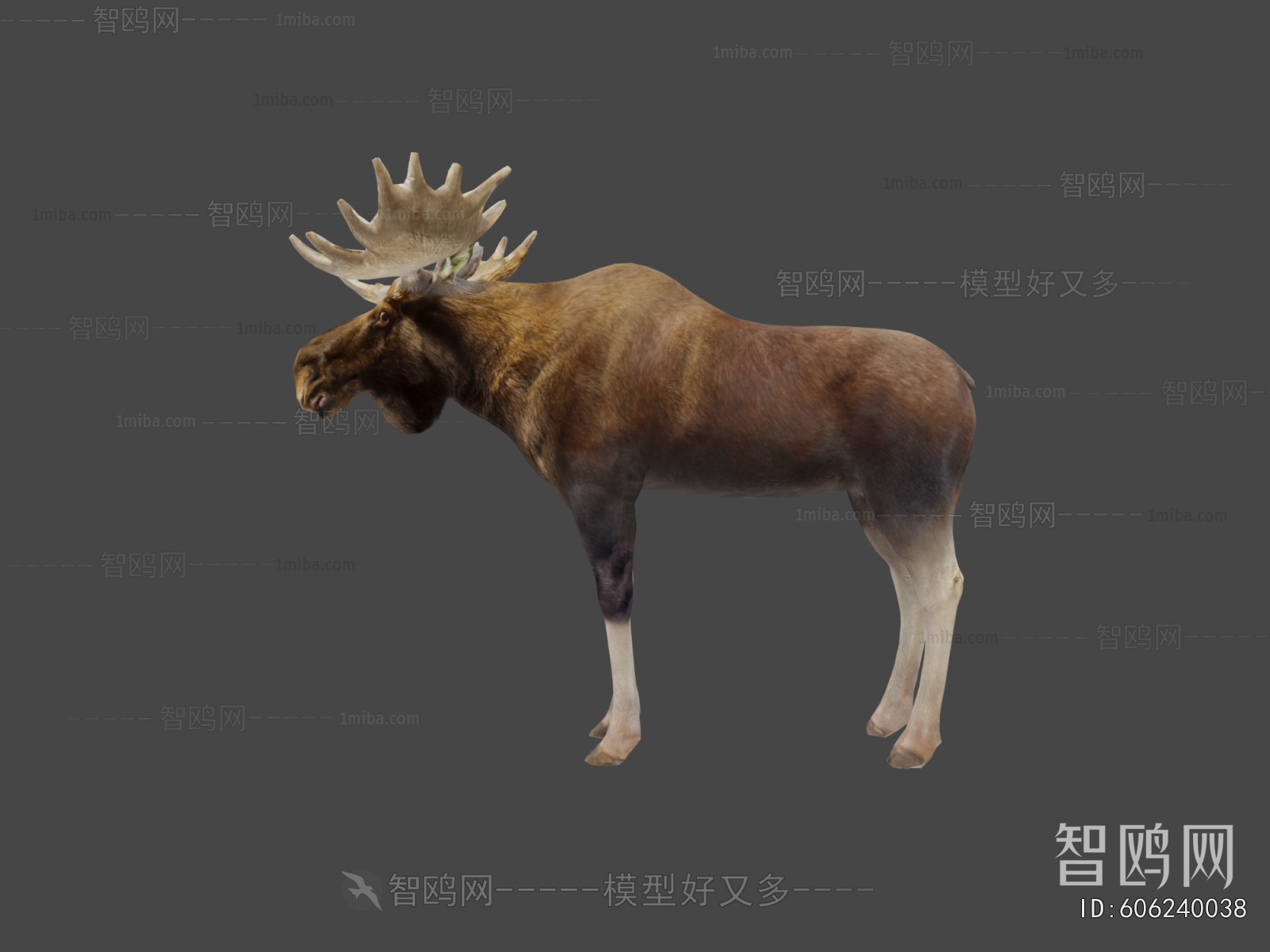 Modern Animal