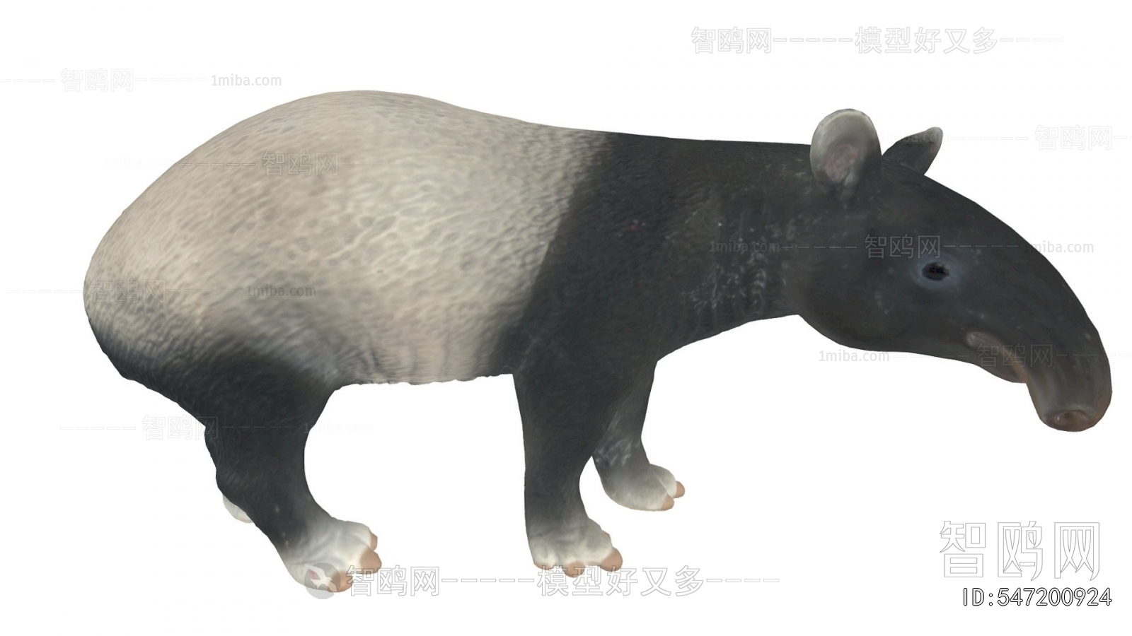 Modern Animal