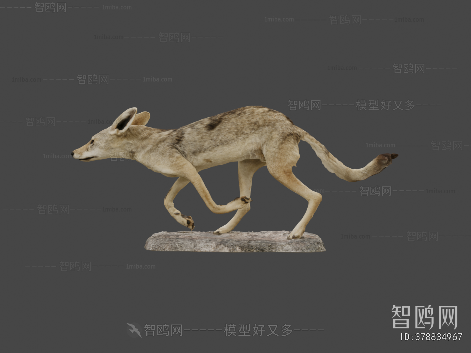 Modern Mammal