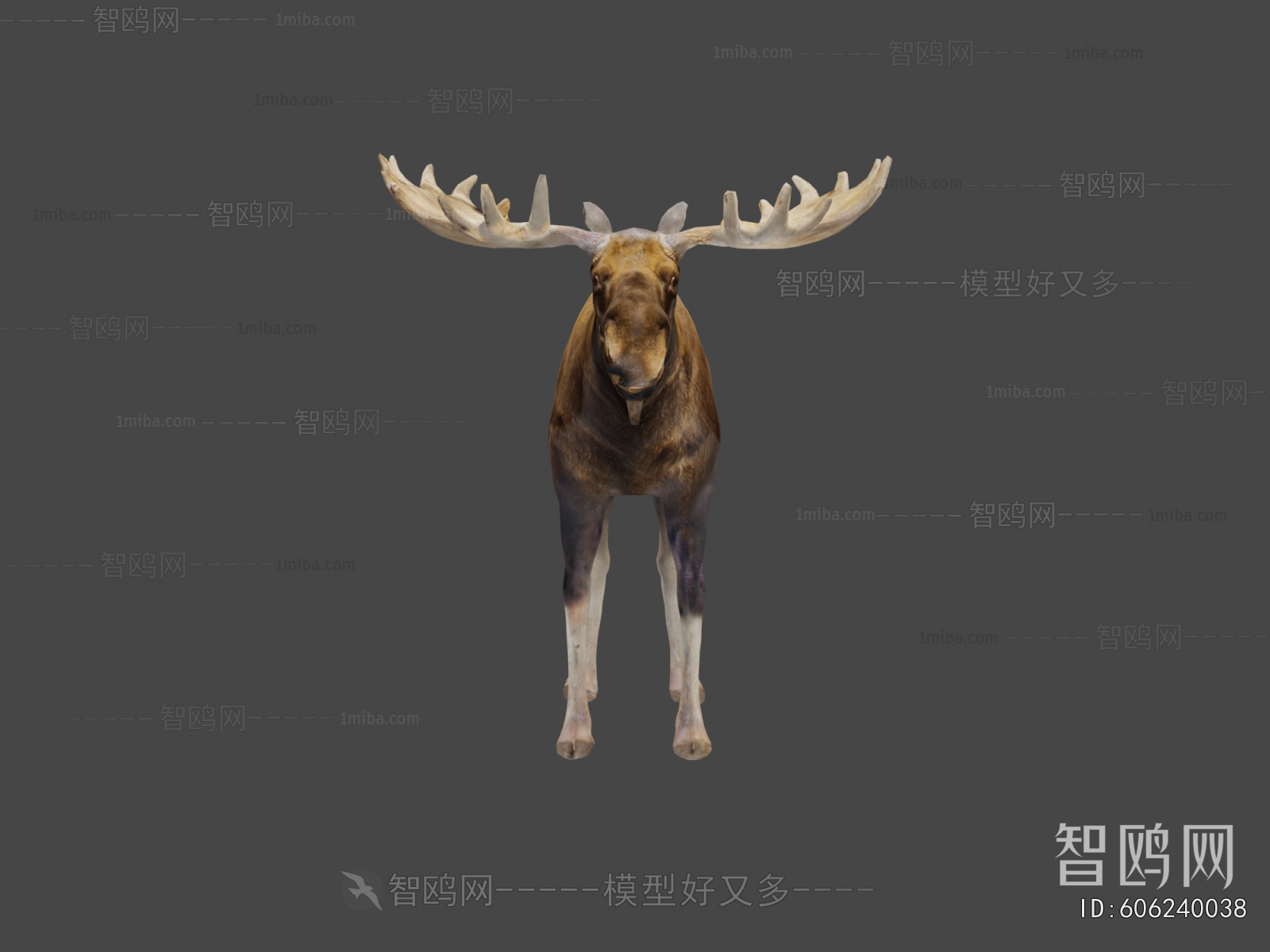 Modern Animal