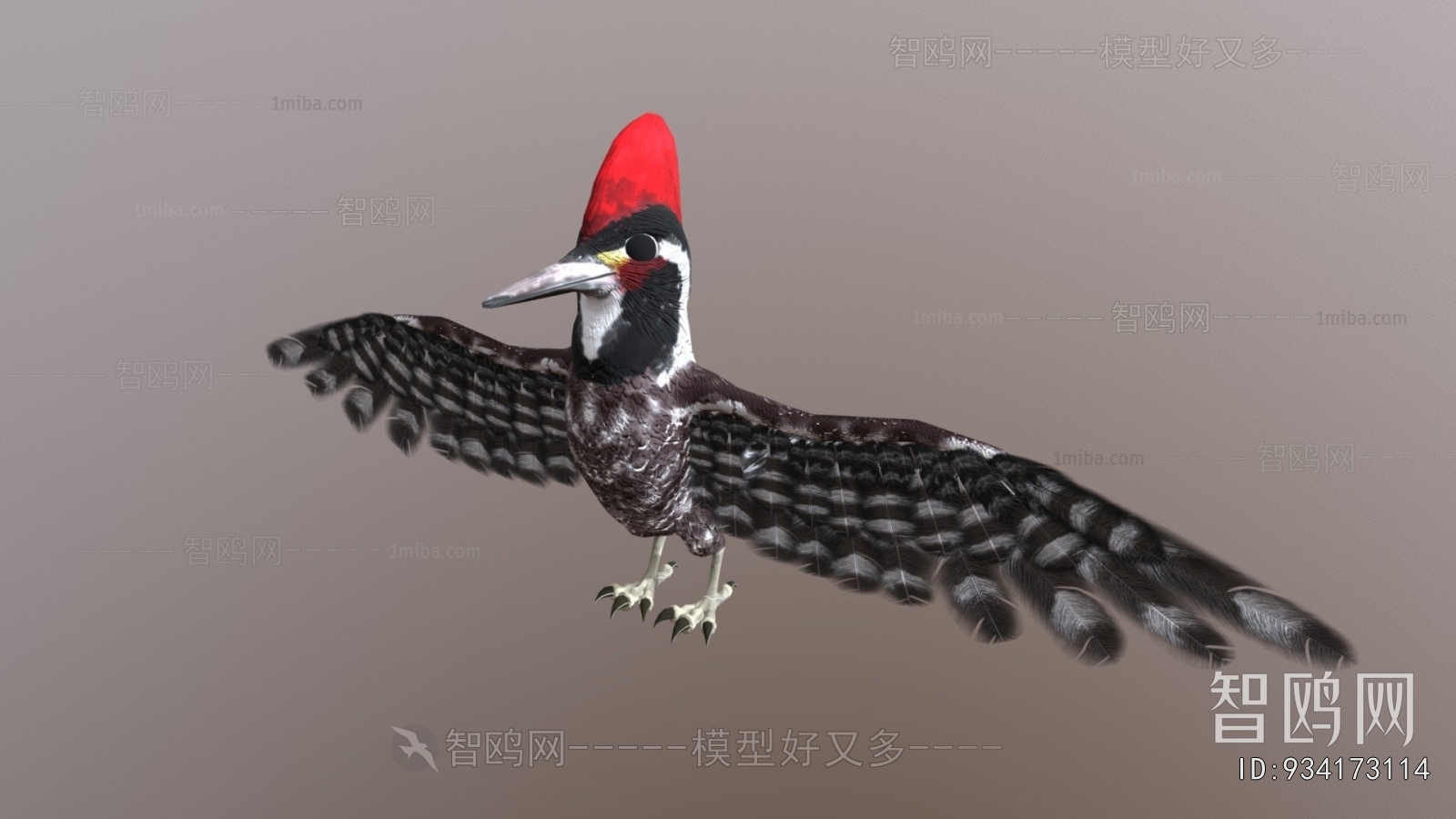 Modern Animal