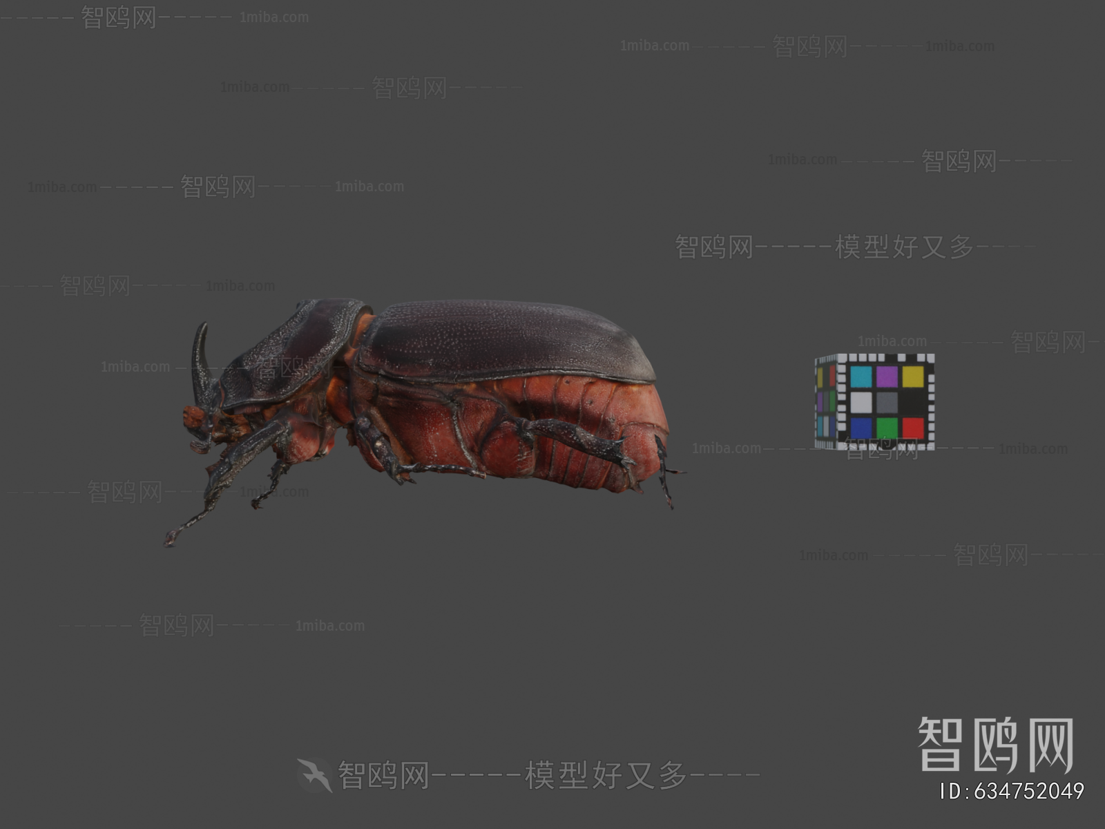 Modern Animal