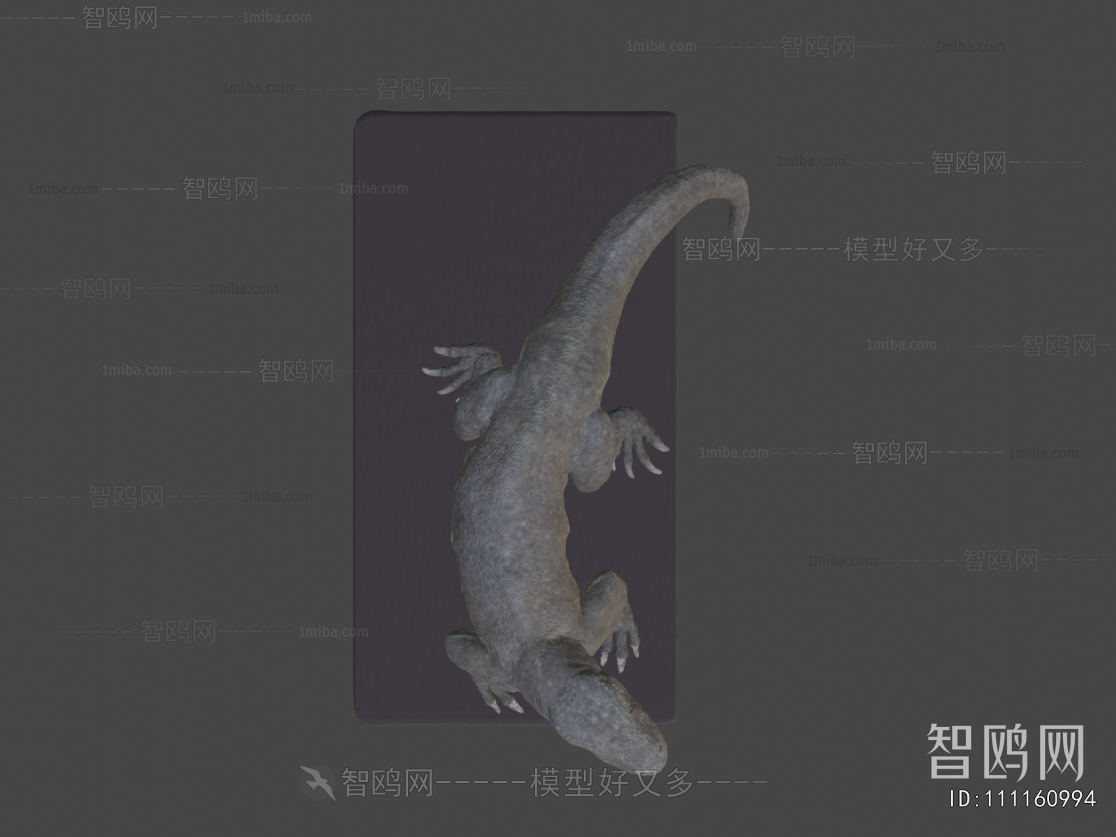 Modern Reptile