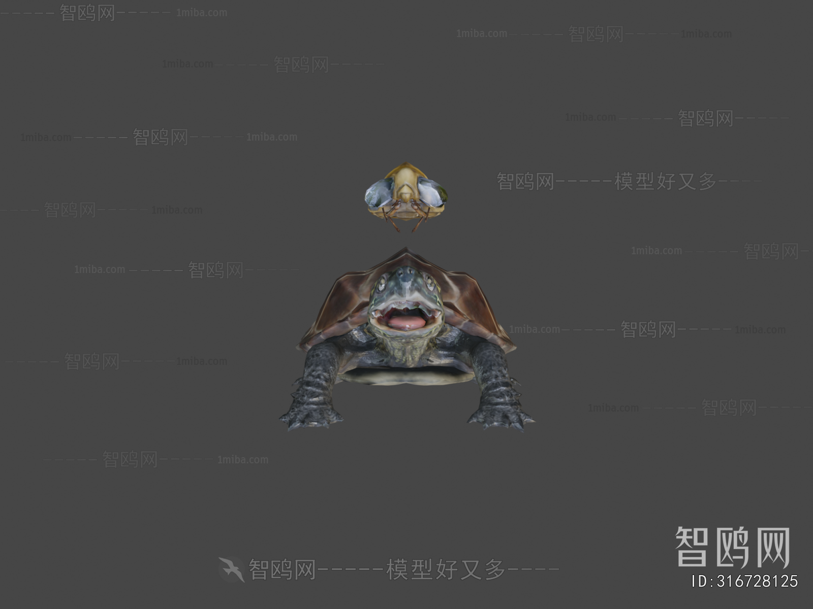 Modern Reptile