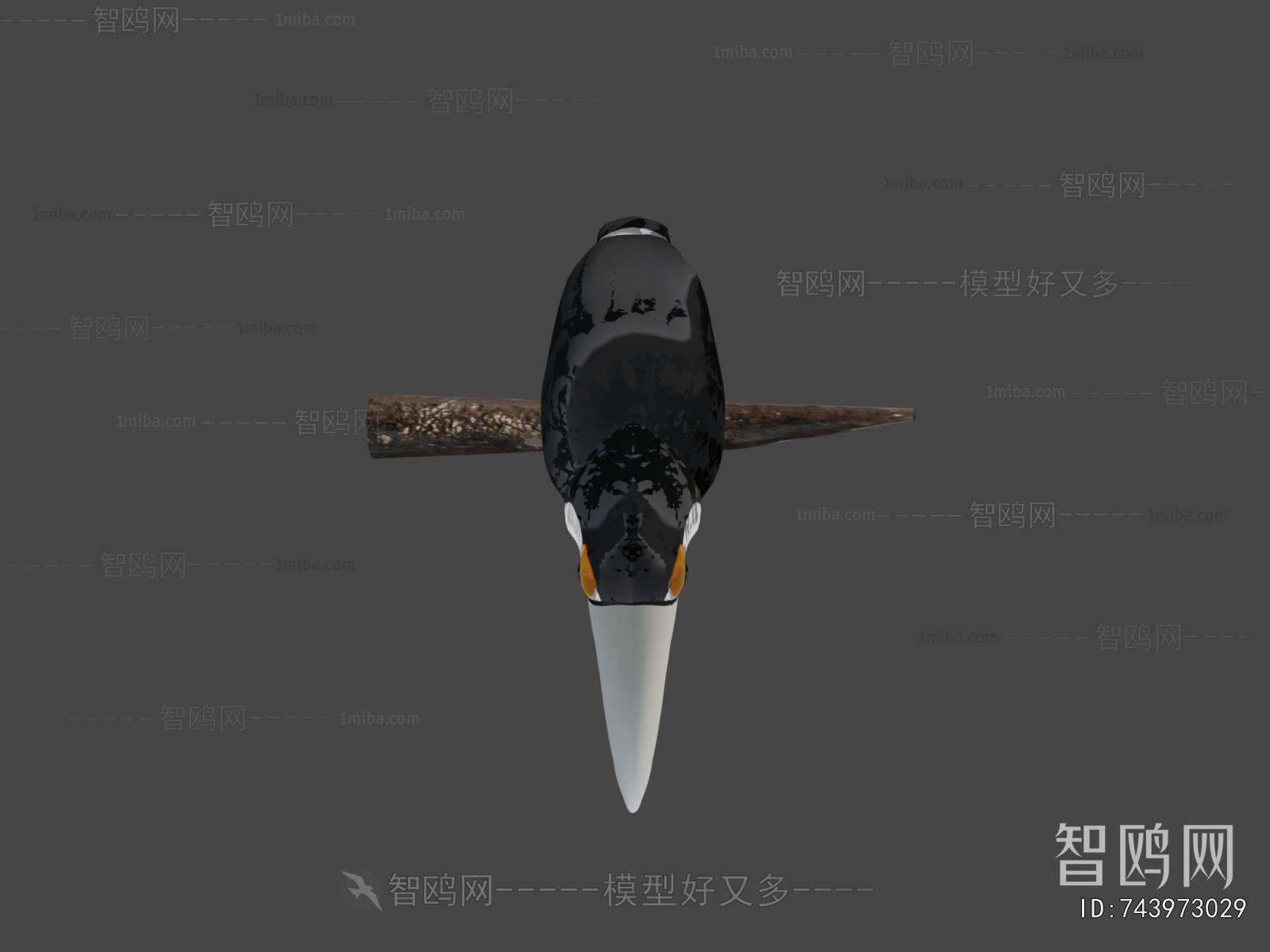 Modern Animal