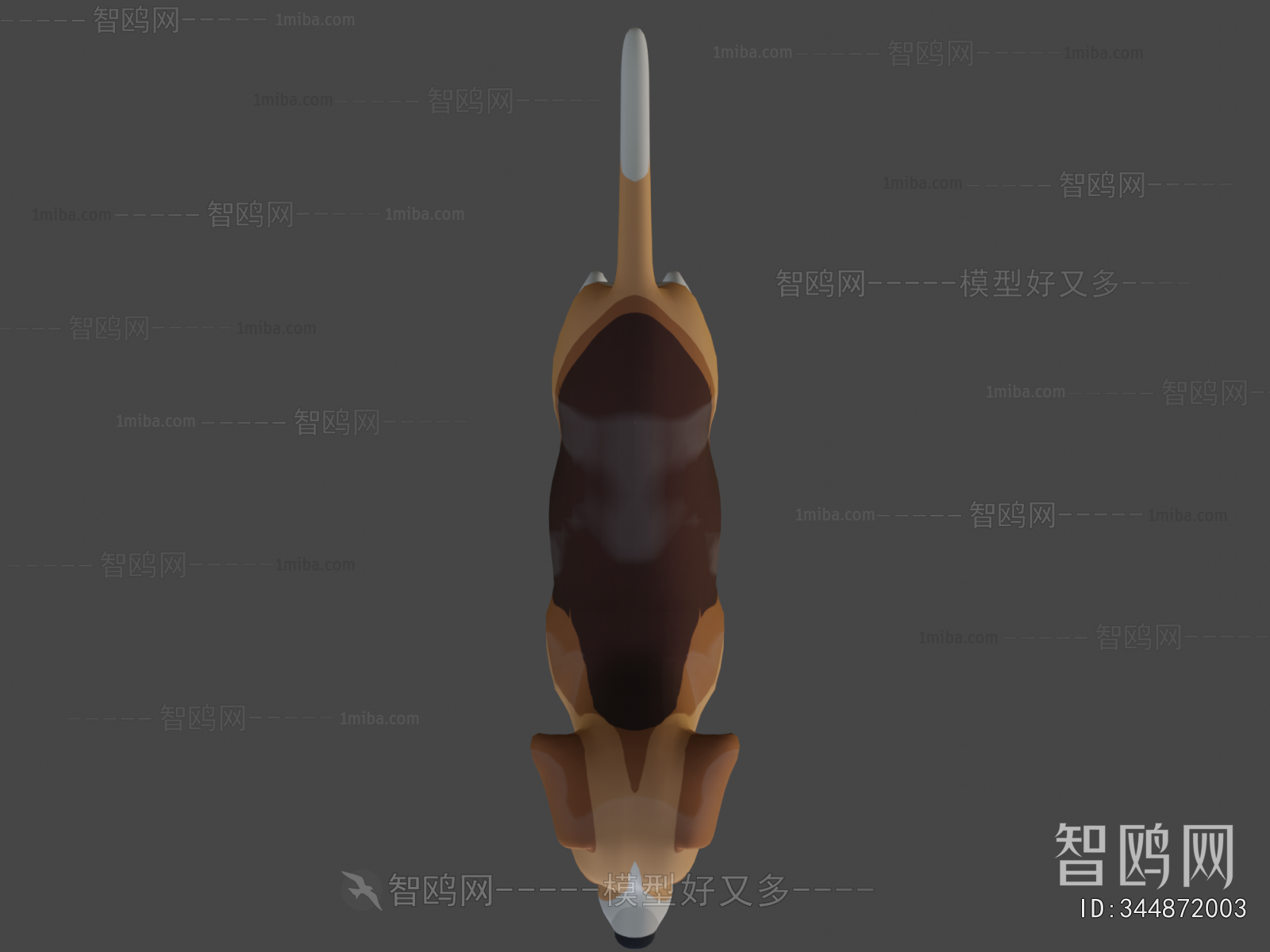 Modern Animal