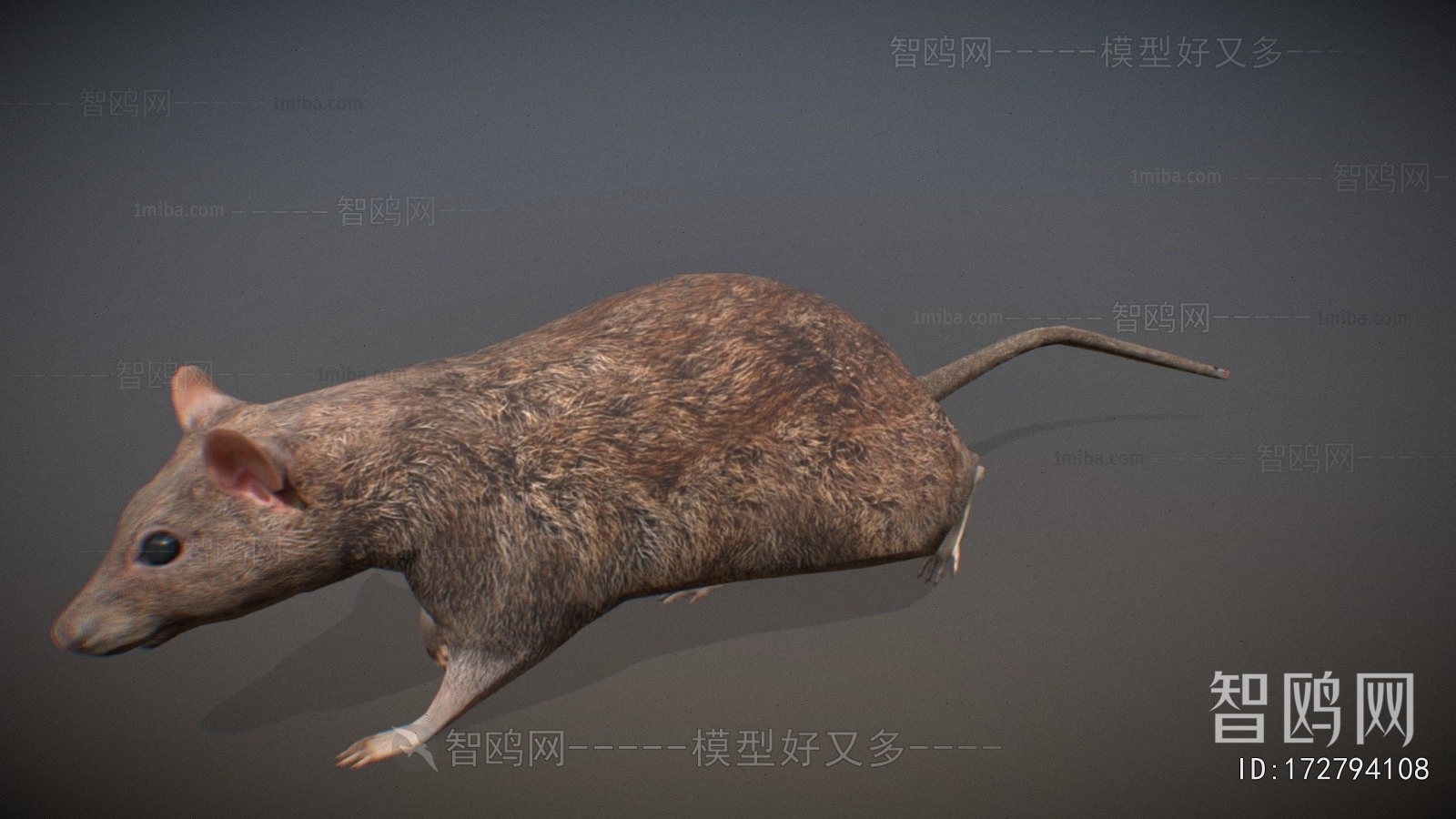 Modern Mammal