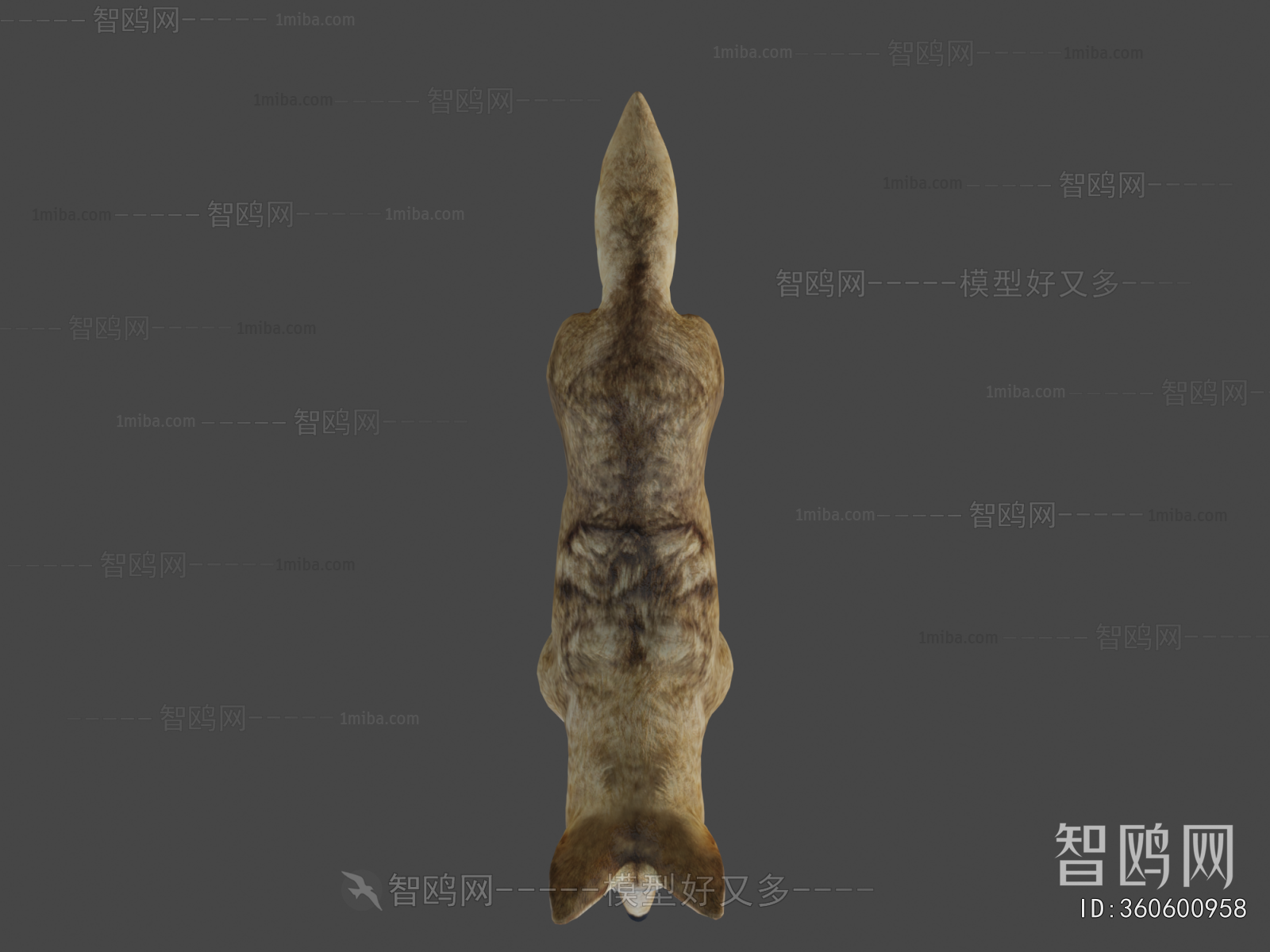 Modern Animal