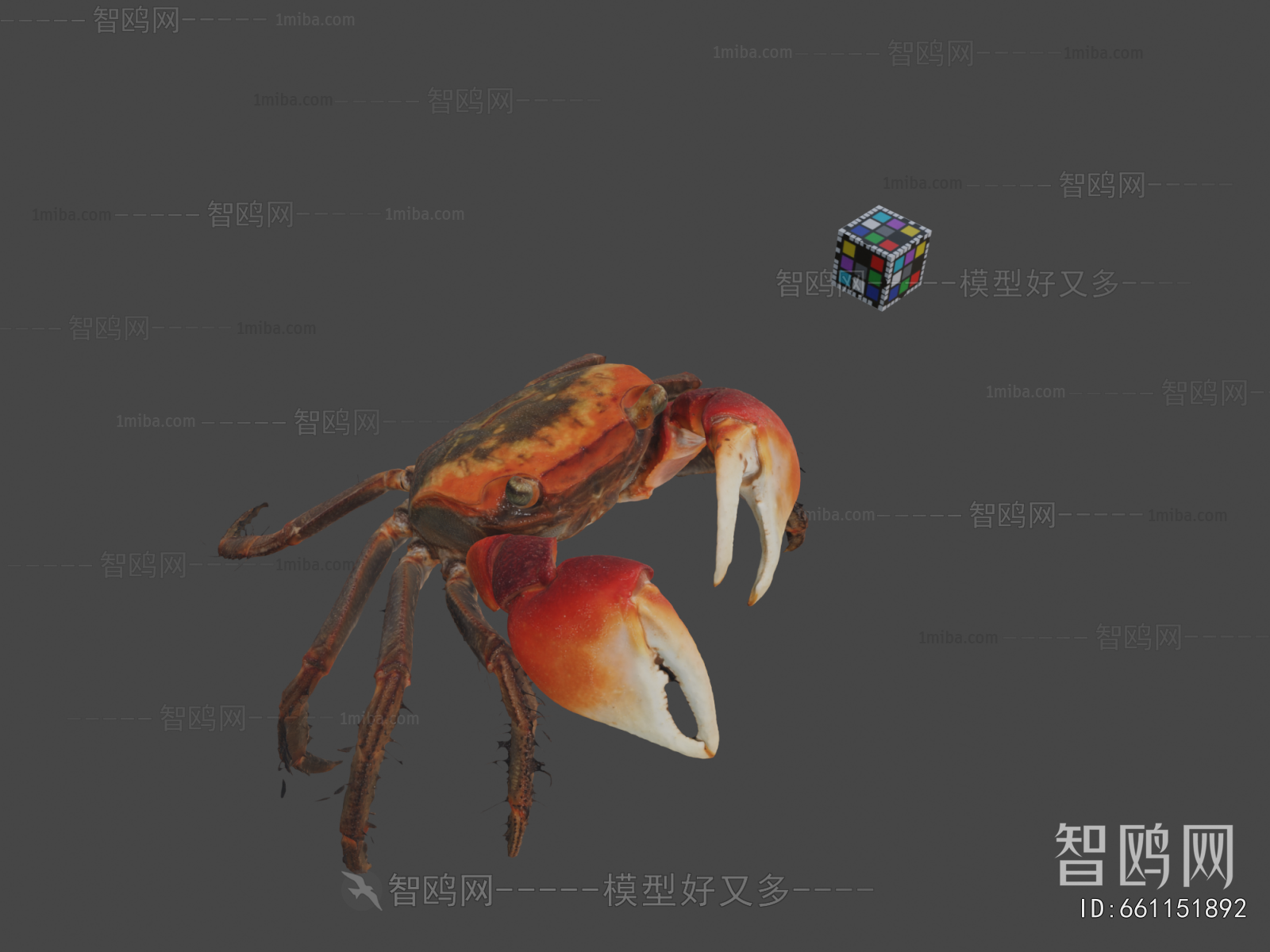 Modern Animal