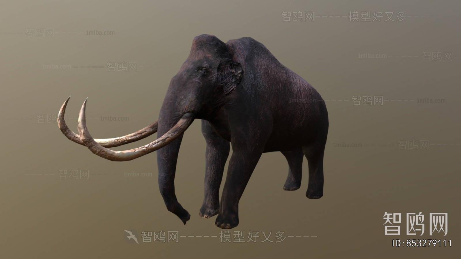 Modern Mammal