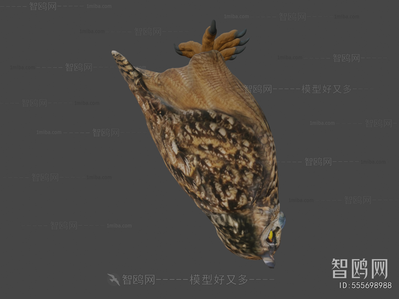 Modern Animal