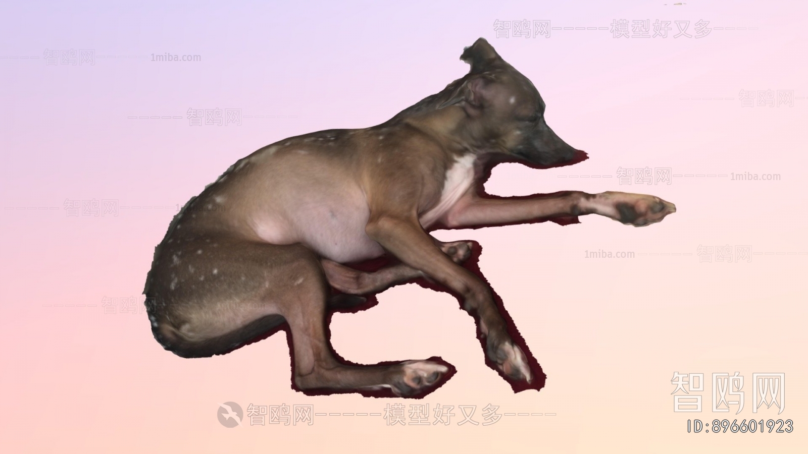 Modern Animal