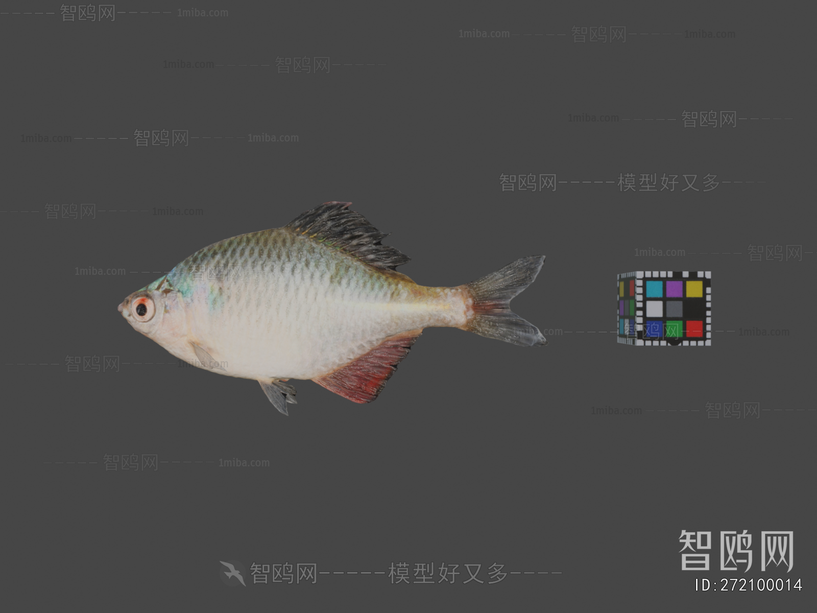 Modern Aquatic Animals