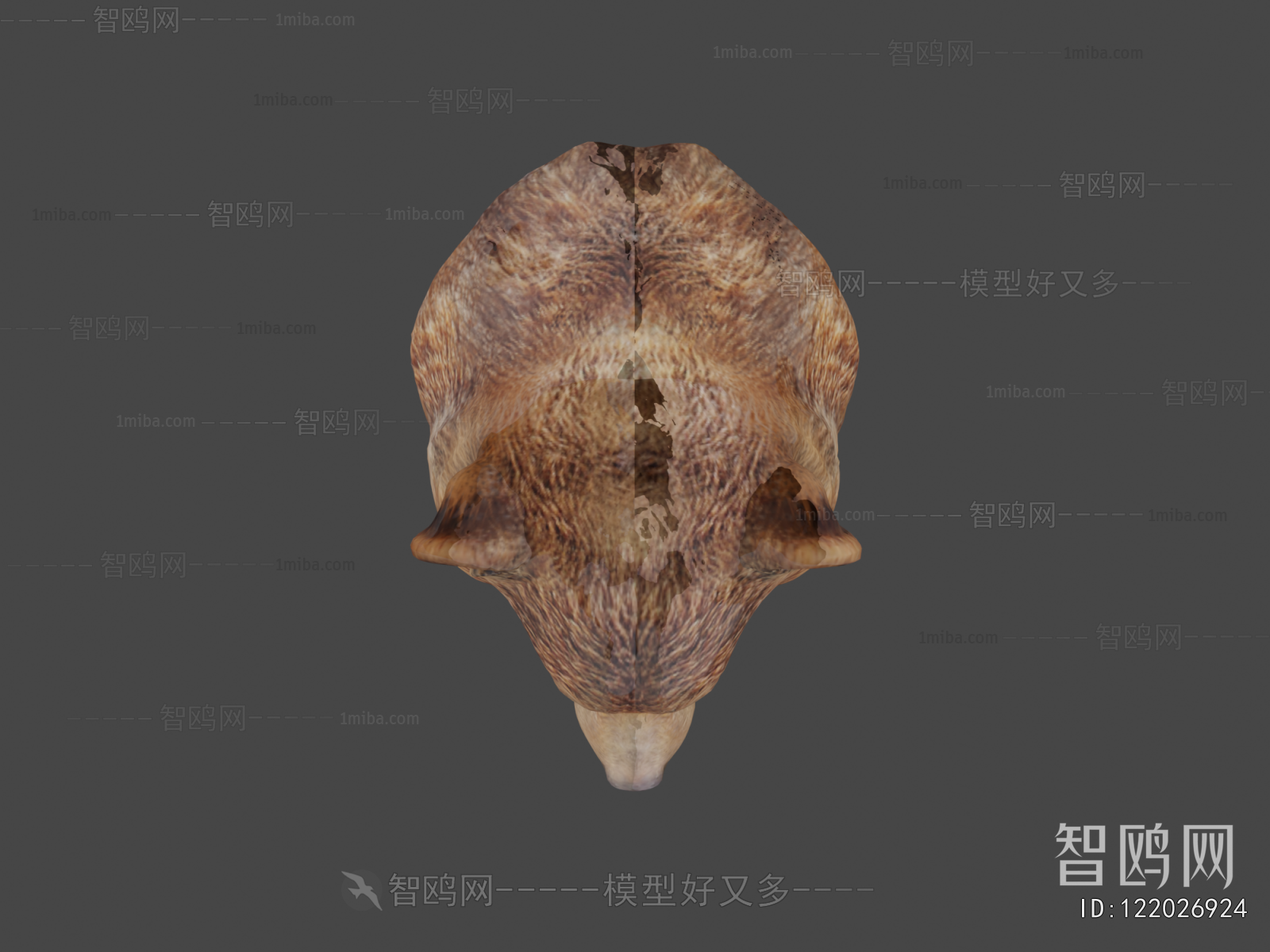 Modern Animal