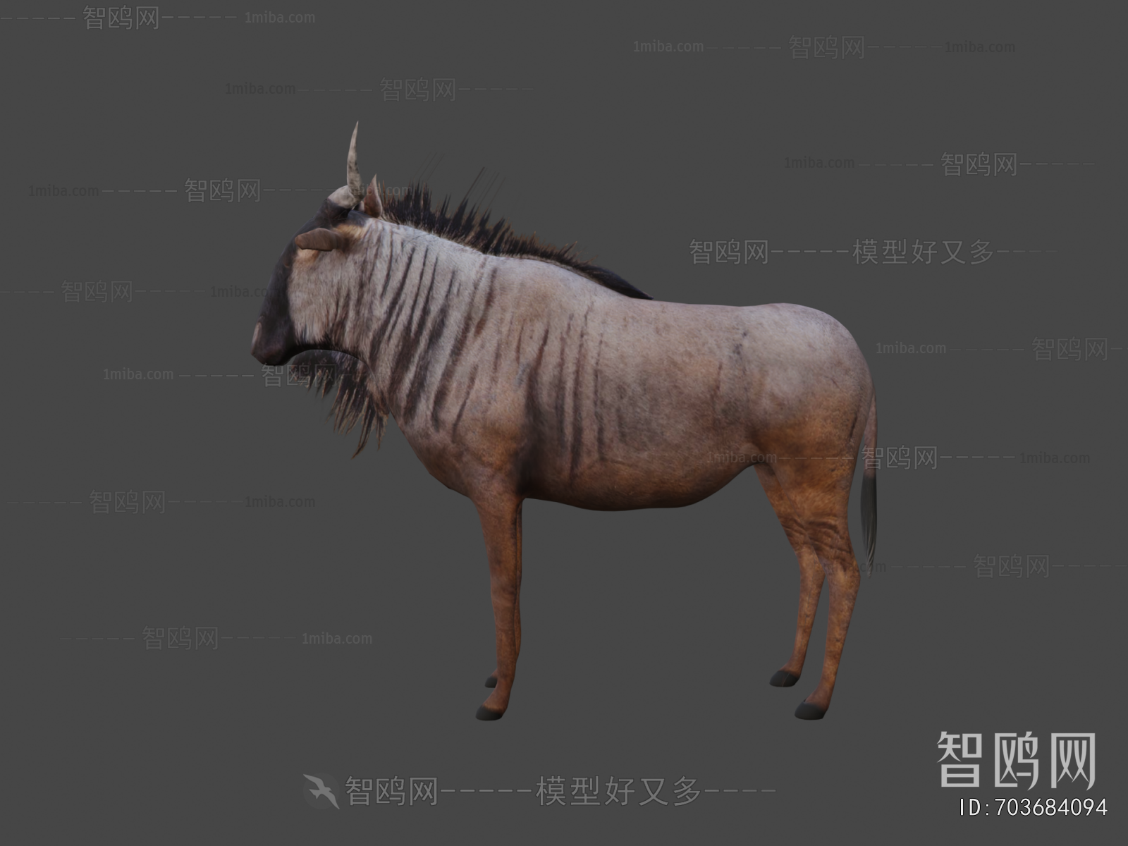 Modern Animal