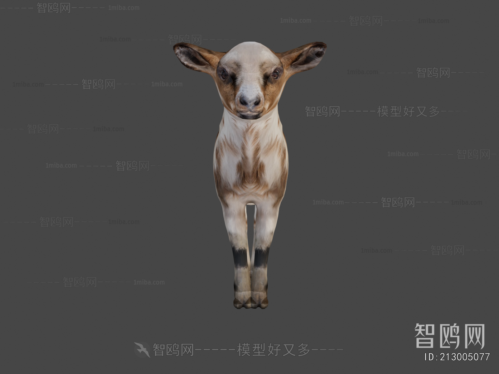 Modern Mammal