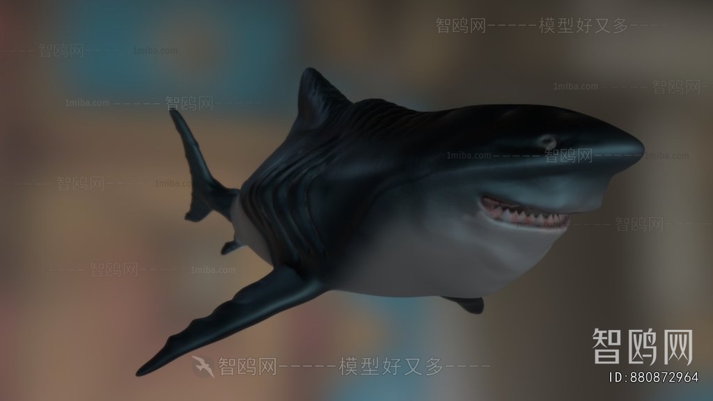 Modern Animal
