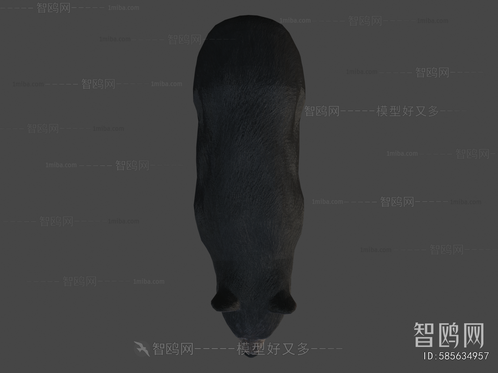 Modern Mammal