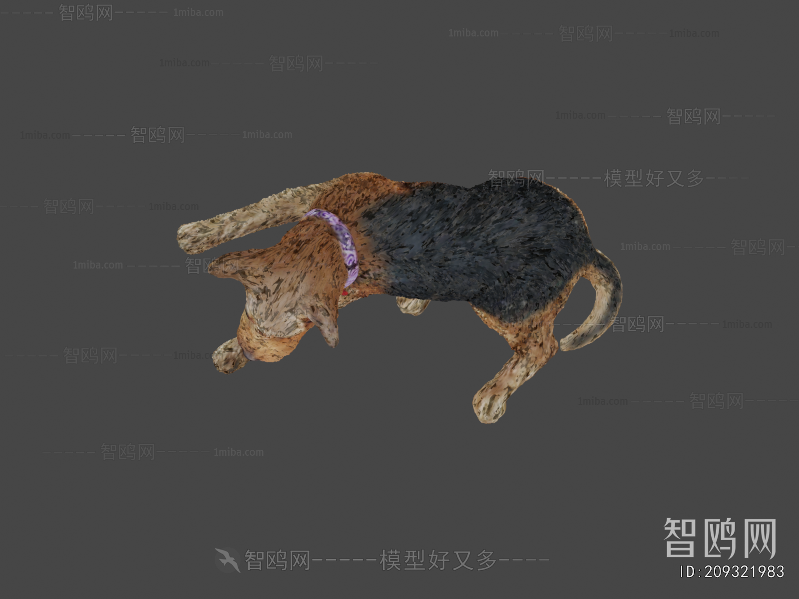 Modern Animal Dog