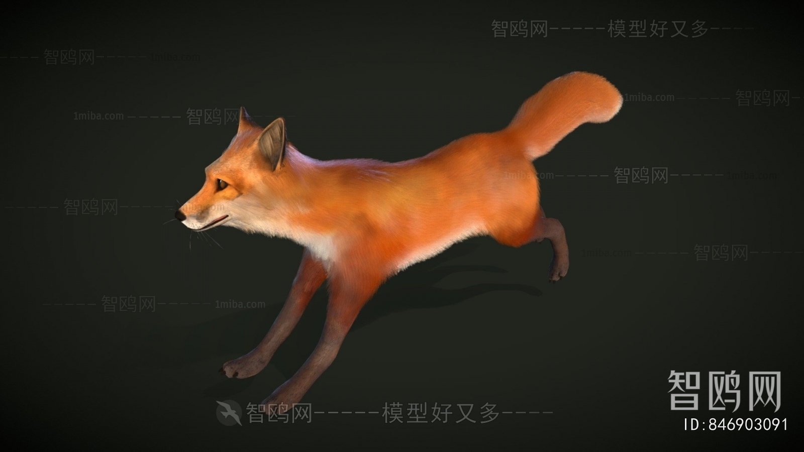 Modern Mammal