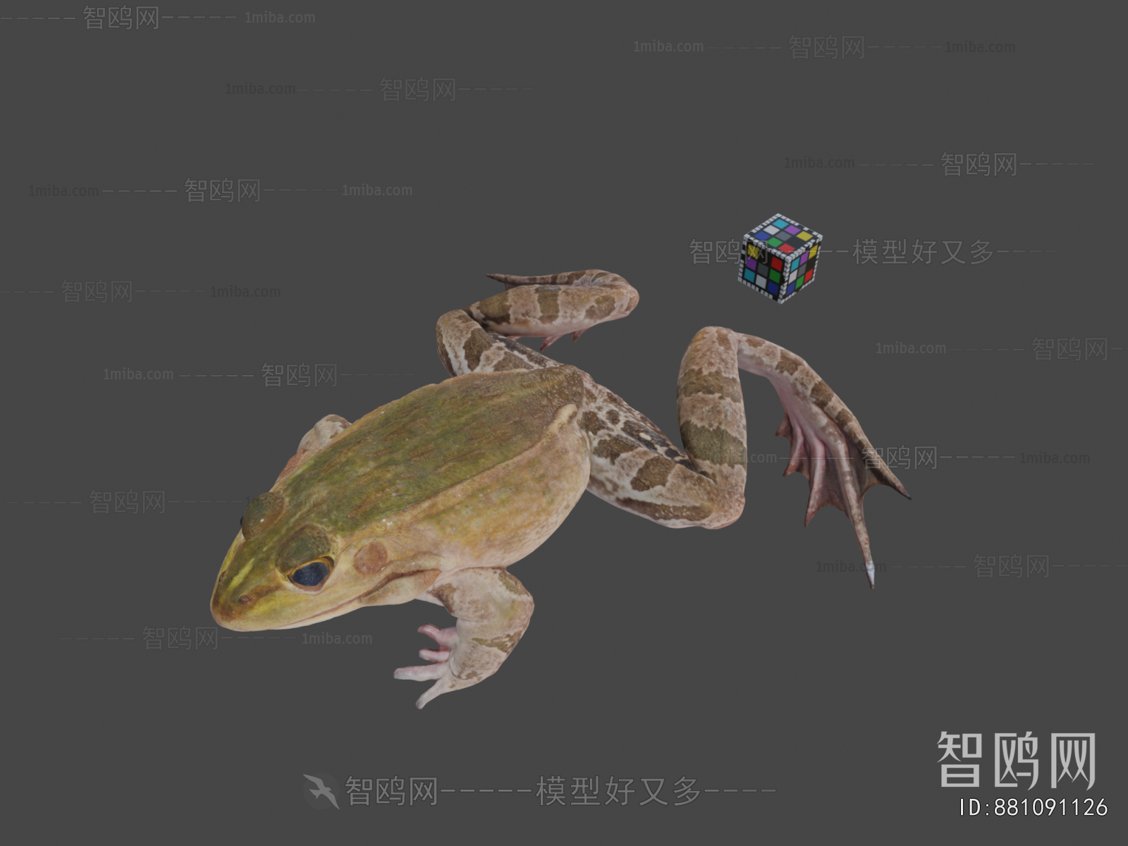 Modern Animal