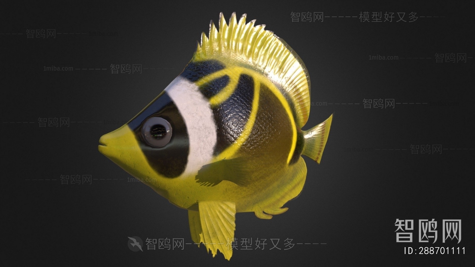 Modern Animal