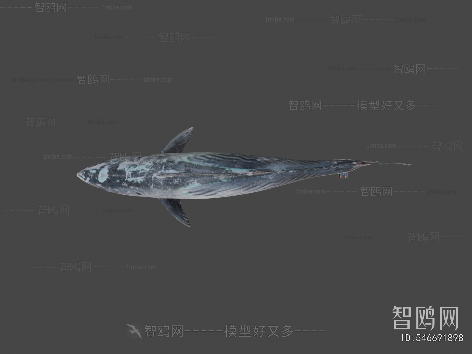 Modern Aquatic Animals