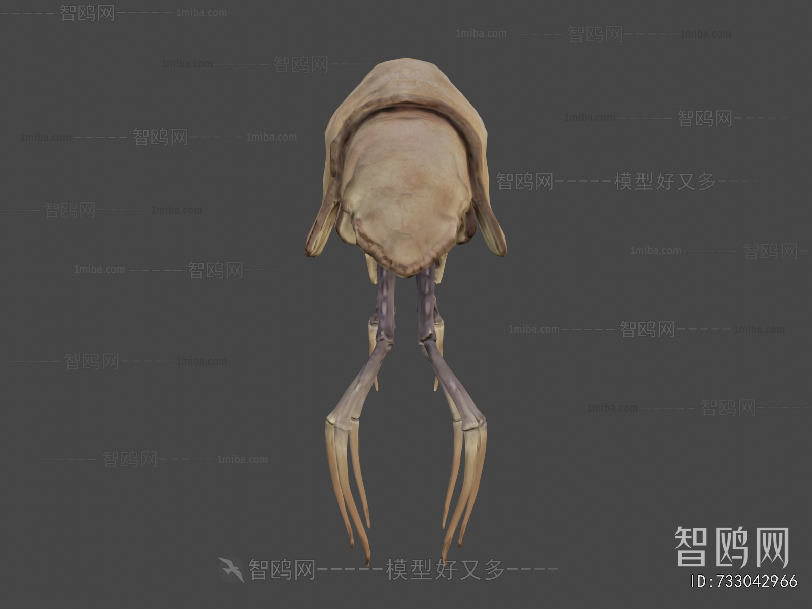 Modern Animal