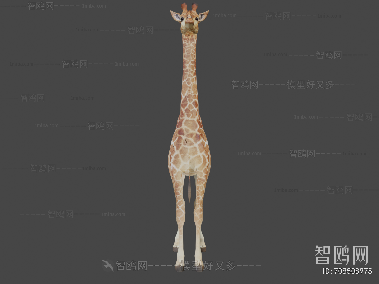 Modern Mammal